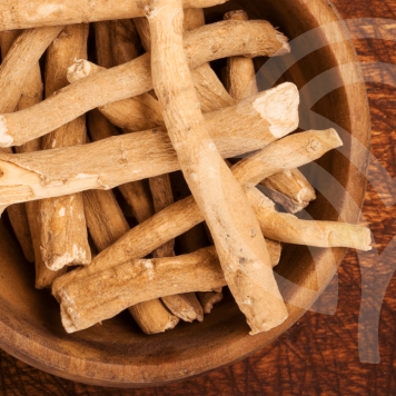 Ashwagandha NSP  NSP modelis 23072 | Attēls Nr. 1