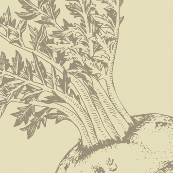 Boost NSP  NSP modelis 1121 | Attēls Nr. 1