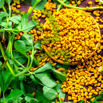 Fenugreek & Thyme NSP Fenugreek & Thyme NSP  NSP modelis 885 | Attēls Nr. 1