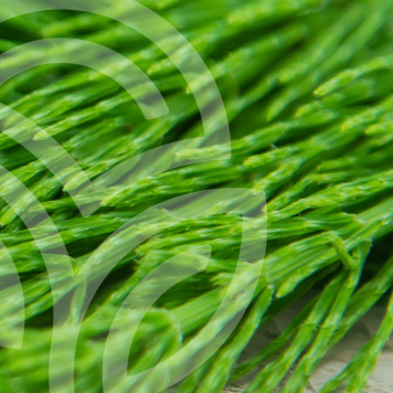 HSN-W NSP  NSP modelis 935 | Attēls Nr. 1