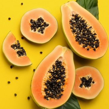 Papaija piparmētra NSP  NSP modelis 485 | Attēls Nr. 1