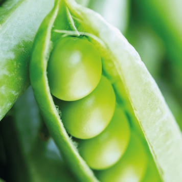 SmartMeal 2-pak  NSP modelis 65010 | Attēls Nr. 1