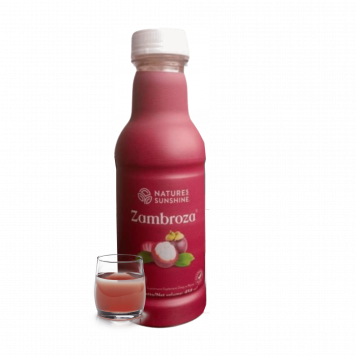 Zambroza NSP  NSP modelis 4104 | Attēls Nr. 1