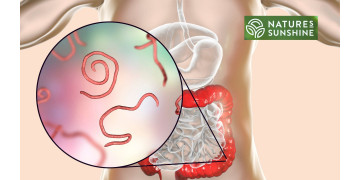 Kā droši un dabiski apkarot parazītus un kandidozi: NSP programma