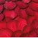 Power Beets (210g)